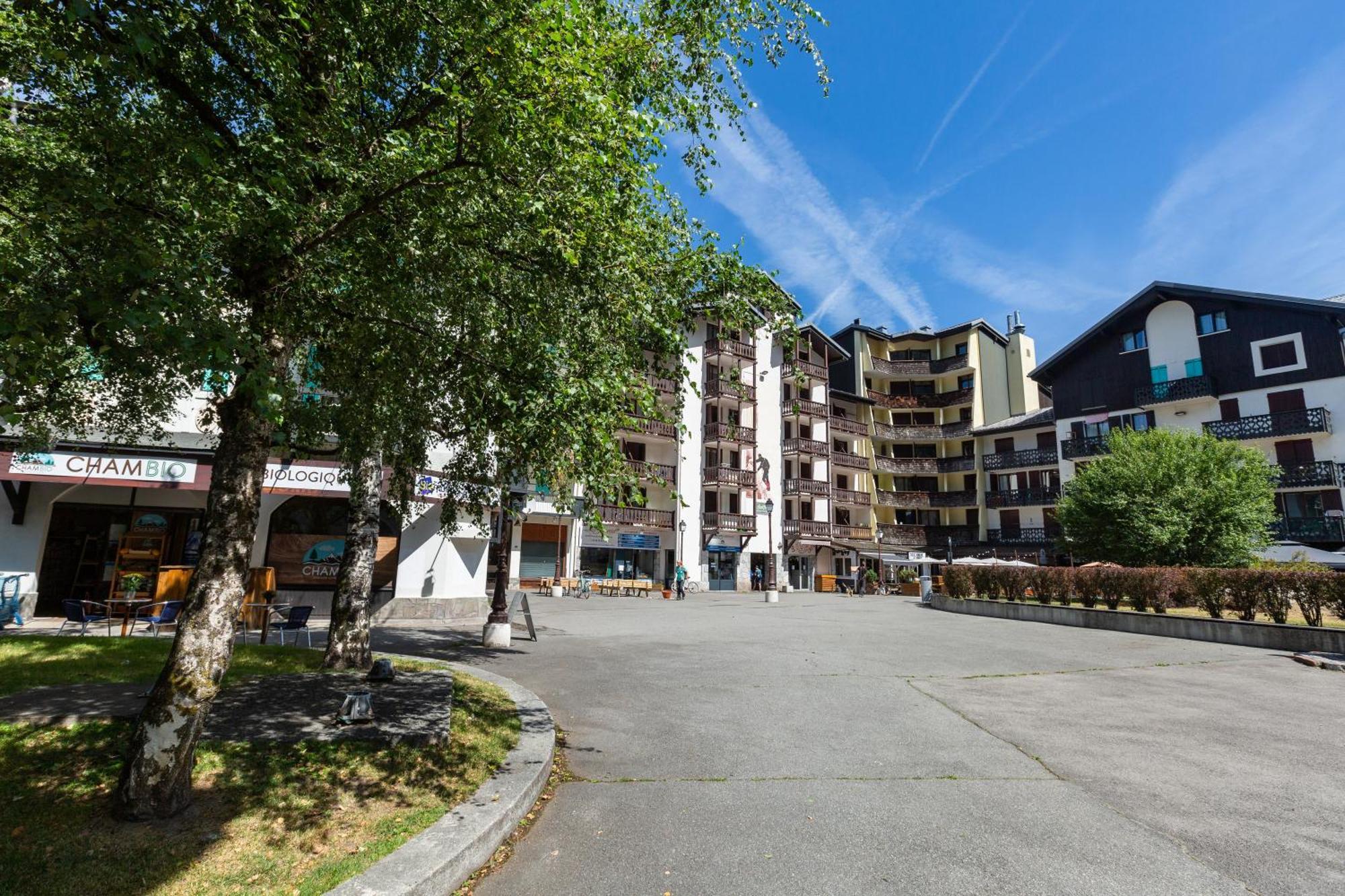 Chamonix Sud - Balme 102 - Happy Rentals Екстер'єр фото